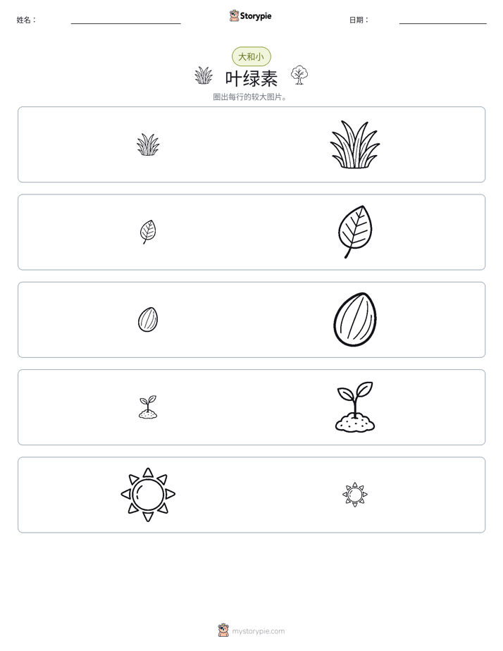 分类