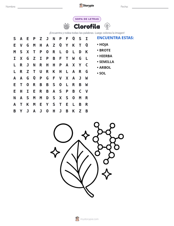 Sopa de Letras