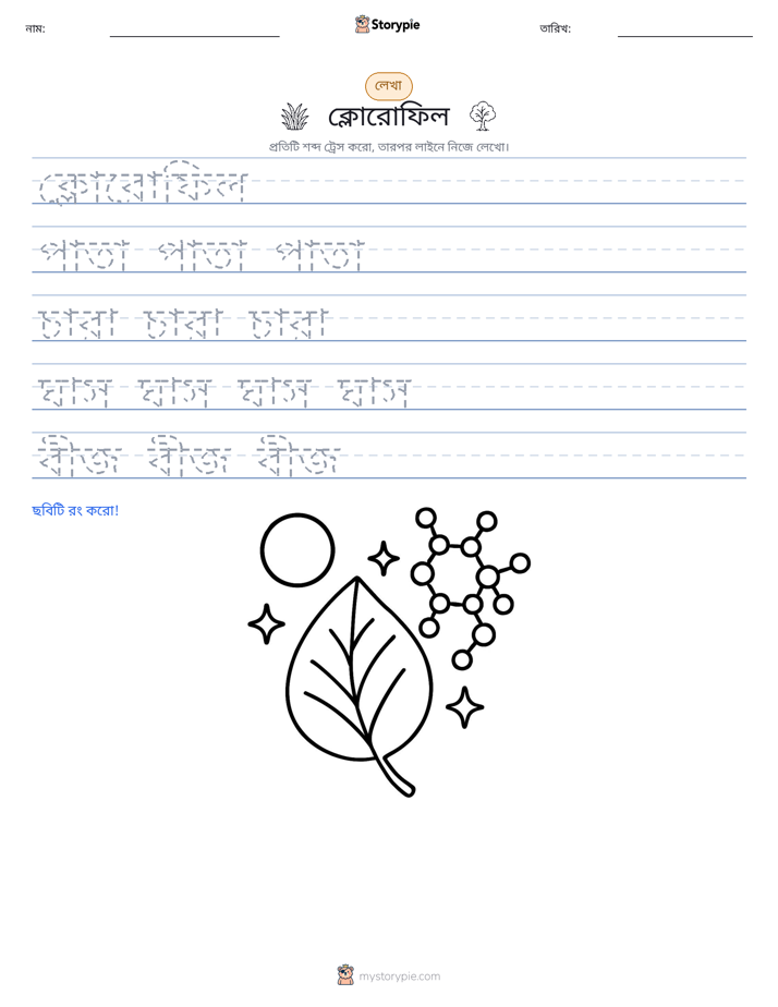 লেখার অনুশীলন
