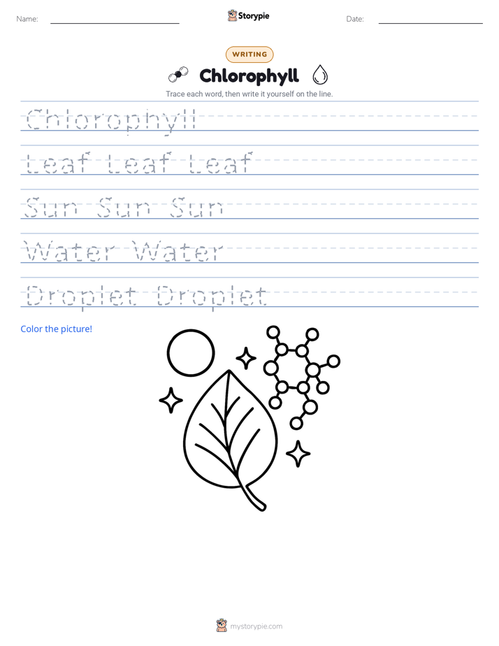 Writing Practice