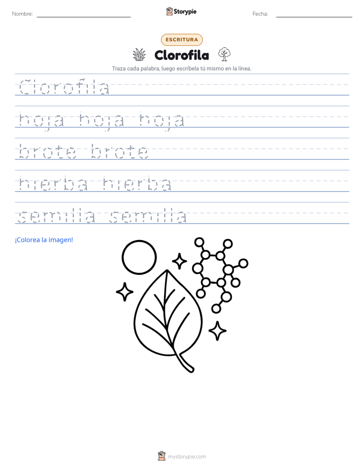 Práctica de Escritura