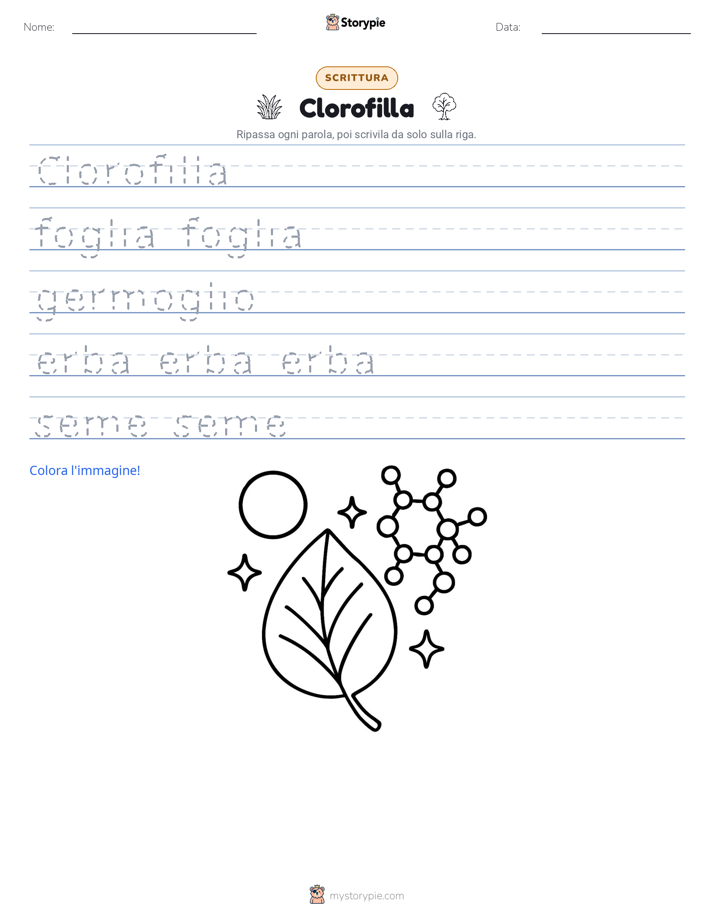 Pratica di Scrittura