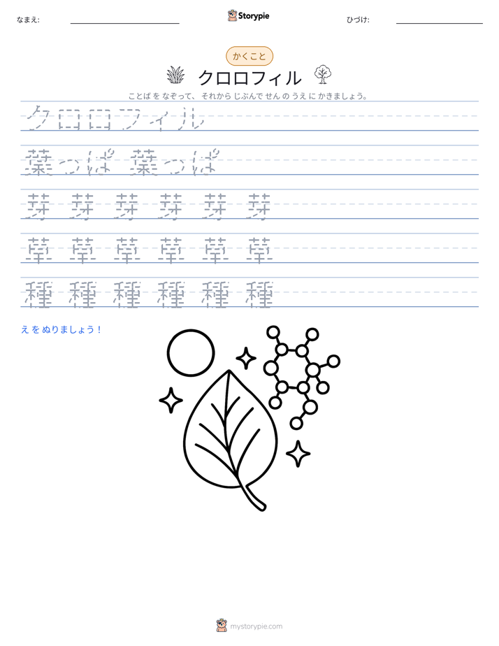書き取り練習