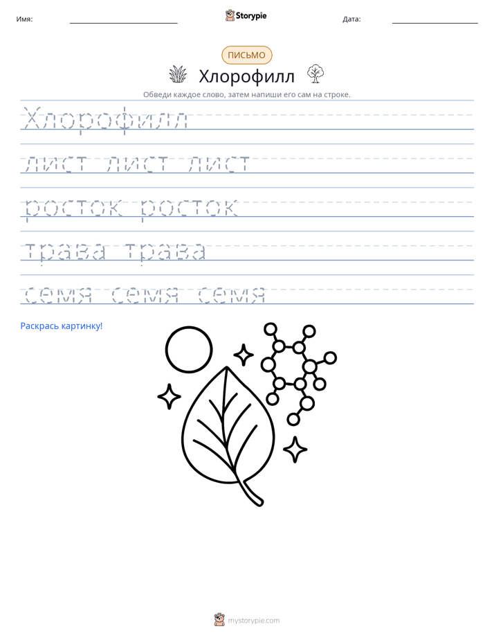 Практика письма
