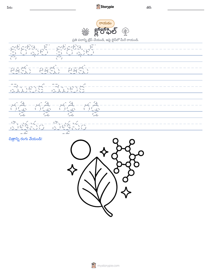రాయడం సాధన