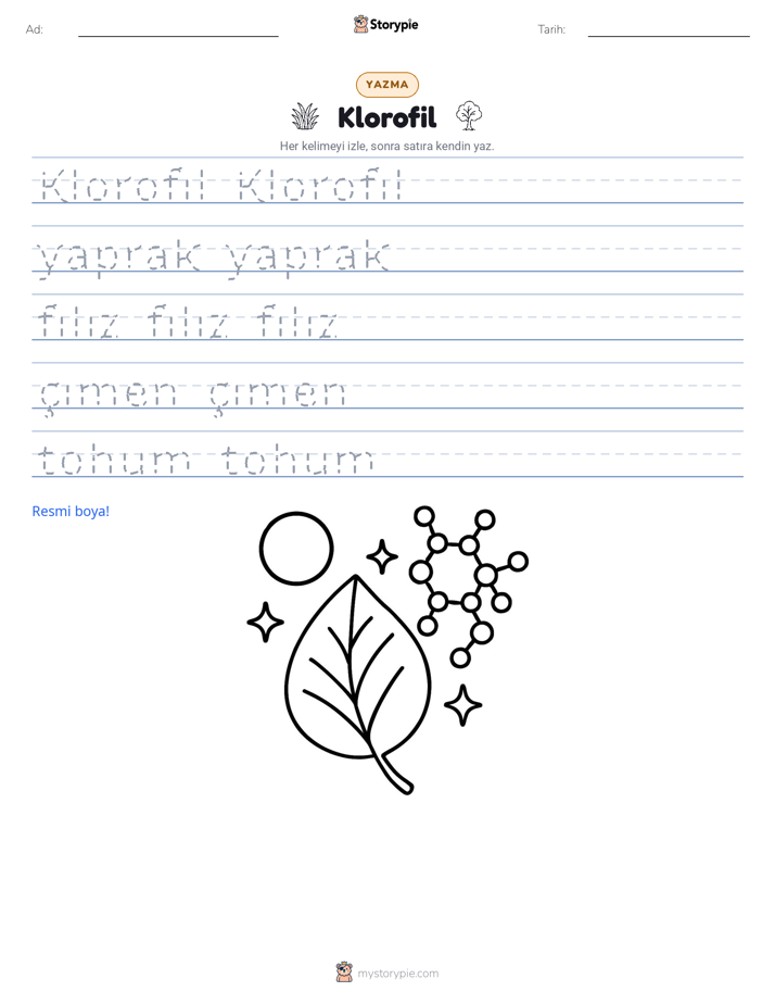 Yazma Pratiği