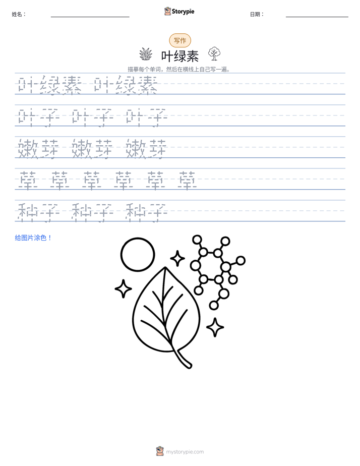 写作练习