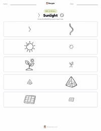 Sunlight printable worksheet preview