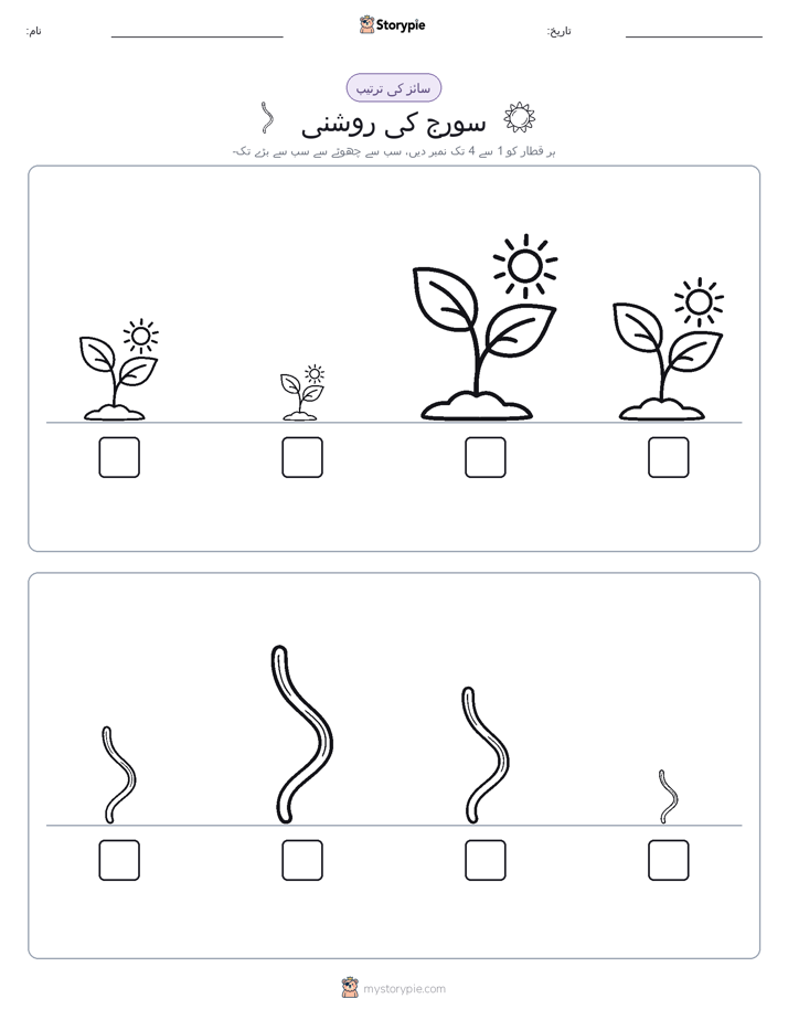 سائز کی ترتیب