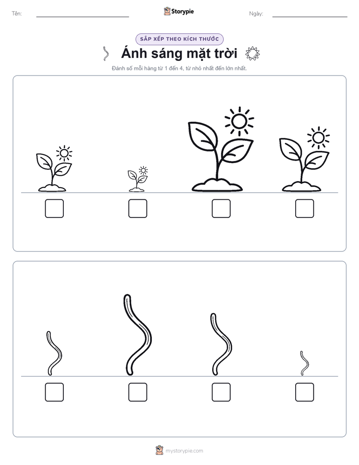 Thứ Tự Kích Thước