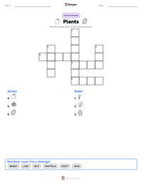 Plants printable worksheet preview