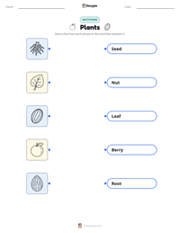 Plants printable worksheet for kids
