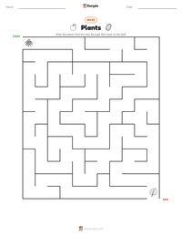 Plants printable worksheet preview
