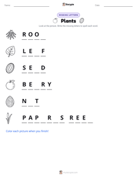 Plants printable worksheet preview