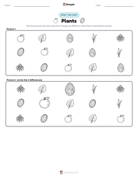 Plants printable worksheet preview
