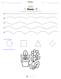 Plants printable worksheet preview