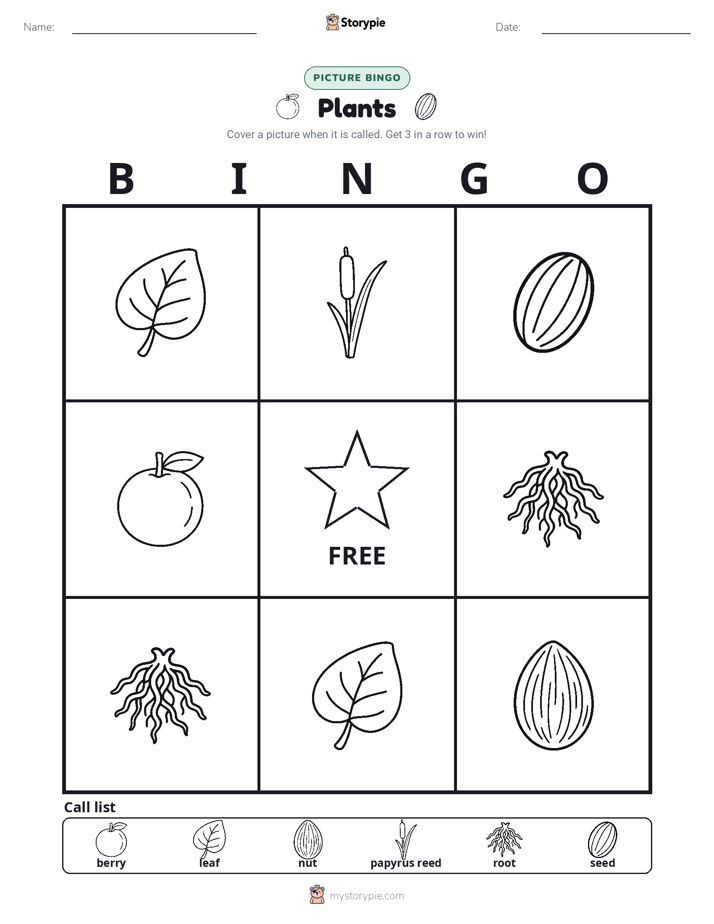 Picture Bingo