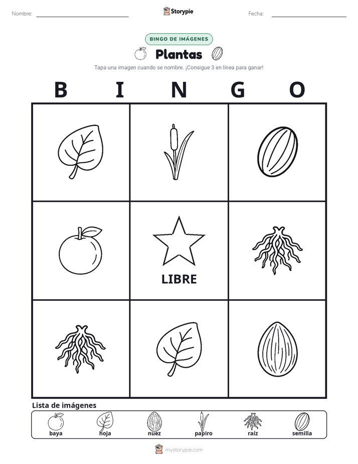 Bingo de Imágenes