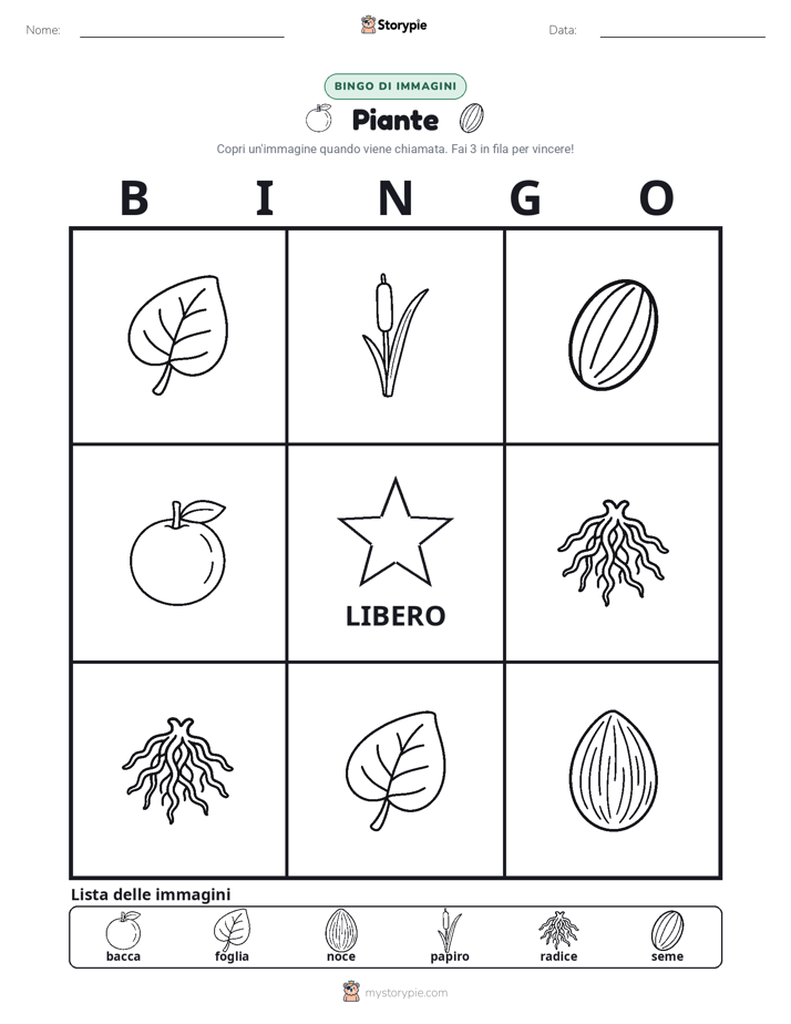 Bingo delle Immagini