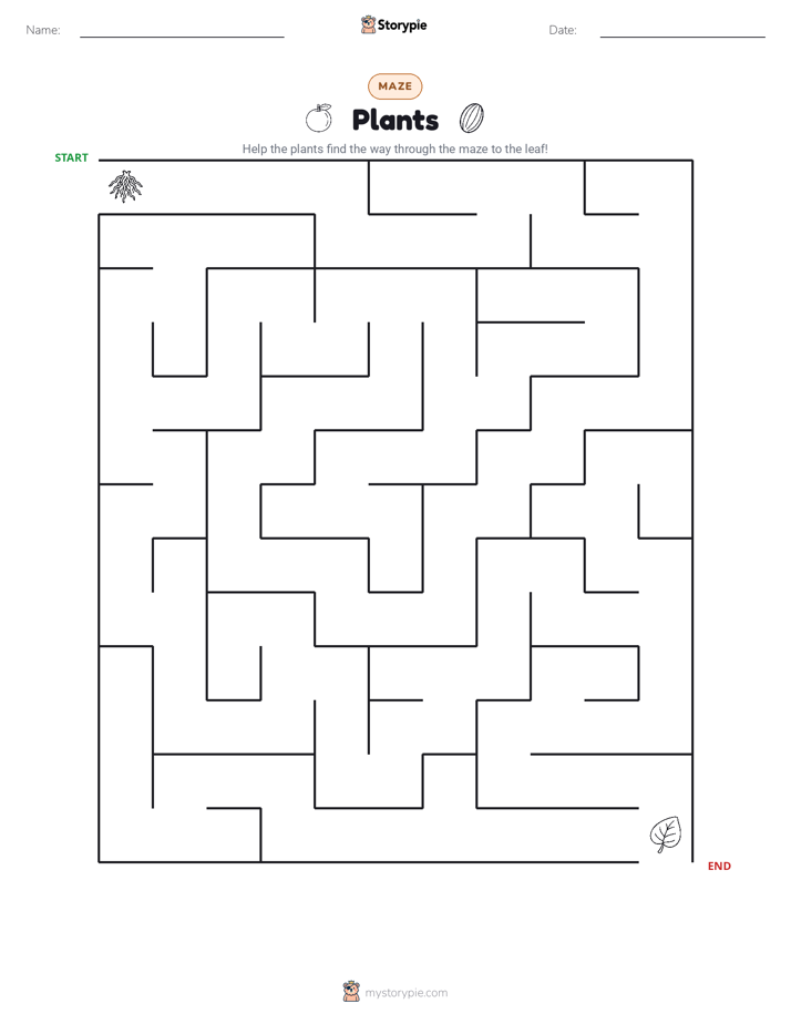 Maze