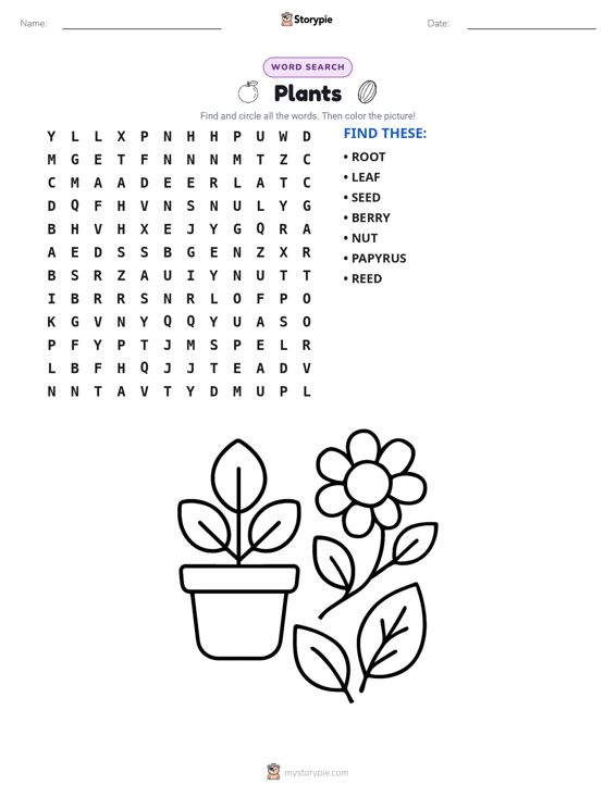 Word Search