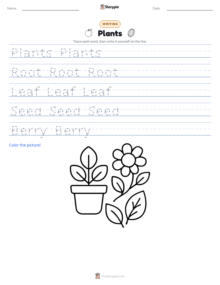 Writing Practice