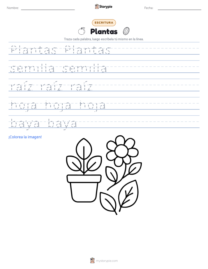 Práctica de Escritura