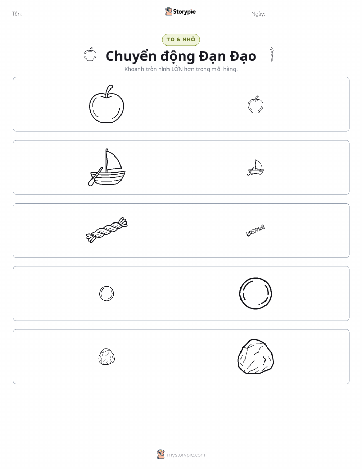 Phân Loại