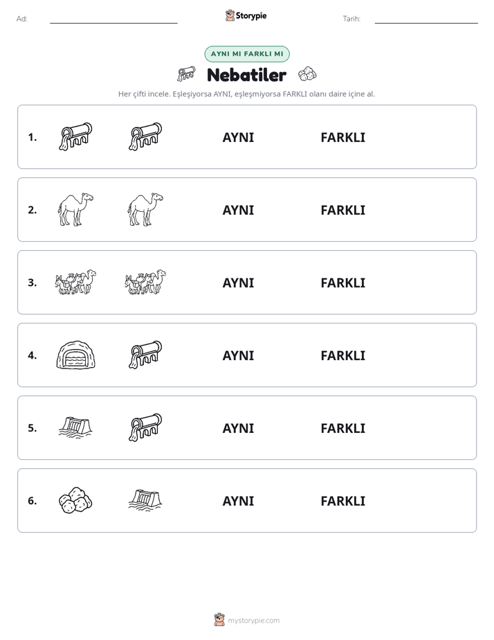Aynı mı Farklı mı