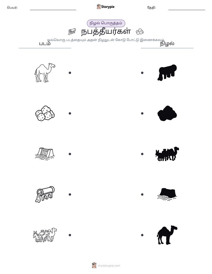 நிழல் பொருத்தம்