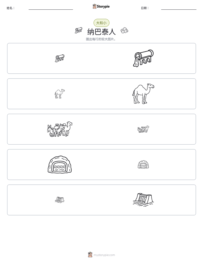 分类
