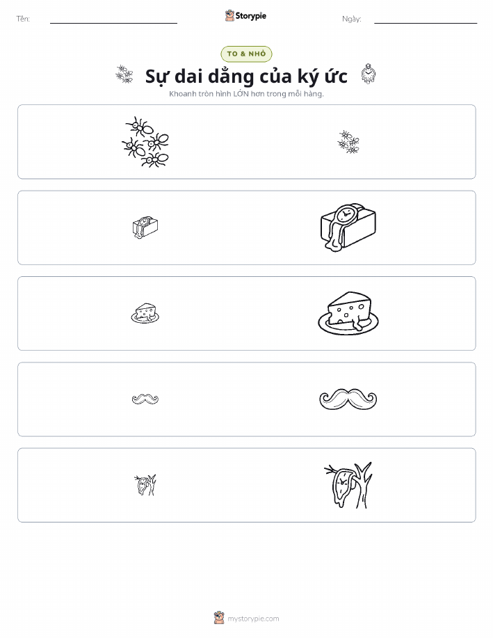 Phân Loại