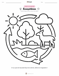Page de coloriage Écosystèmes pour les enfants
