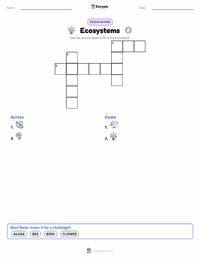 Ecosystems printable worksheet preview