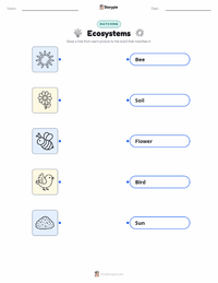 Ecosystems printable worksheet for kids
