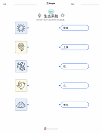 生态系统 可打印工作表，适合儿童