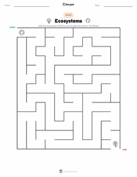 Ecosystems printable worksheet preview