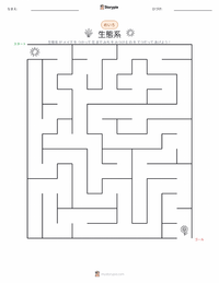 生態系 の印刷可能ワークシートプレビュー