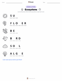 Ecosystems printable worksheet preview