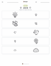 생태계 인쇄 가능한 워크시트 미리보기
