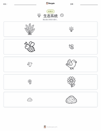 生态系统 可打印工作表预览