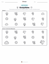Ecosystems printable worksheet preview