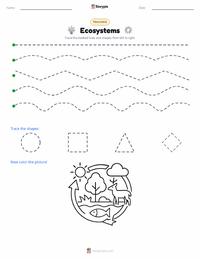 Ecosystems printable worksheet preview