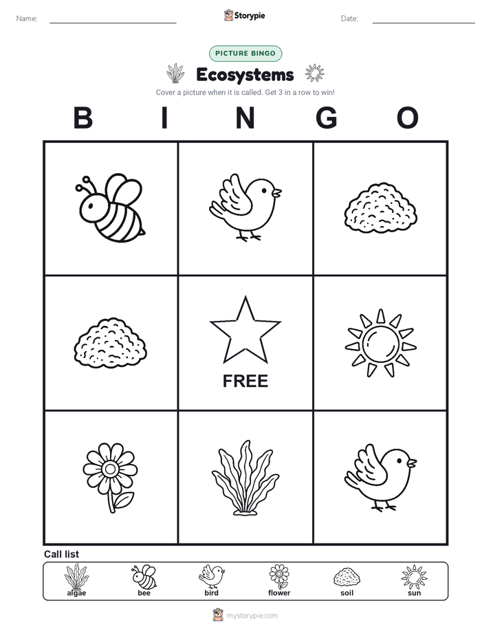 Picture Bingo
