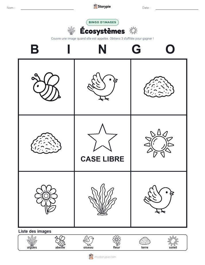 Bingo d'Images
