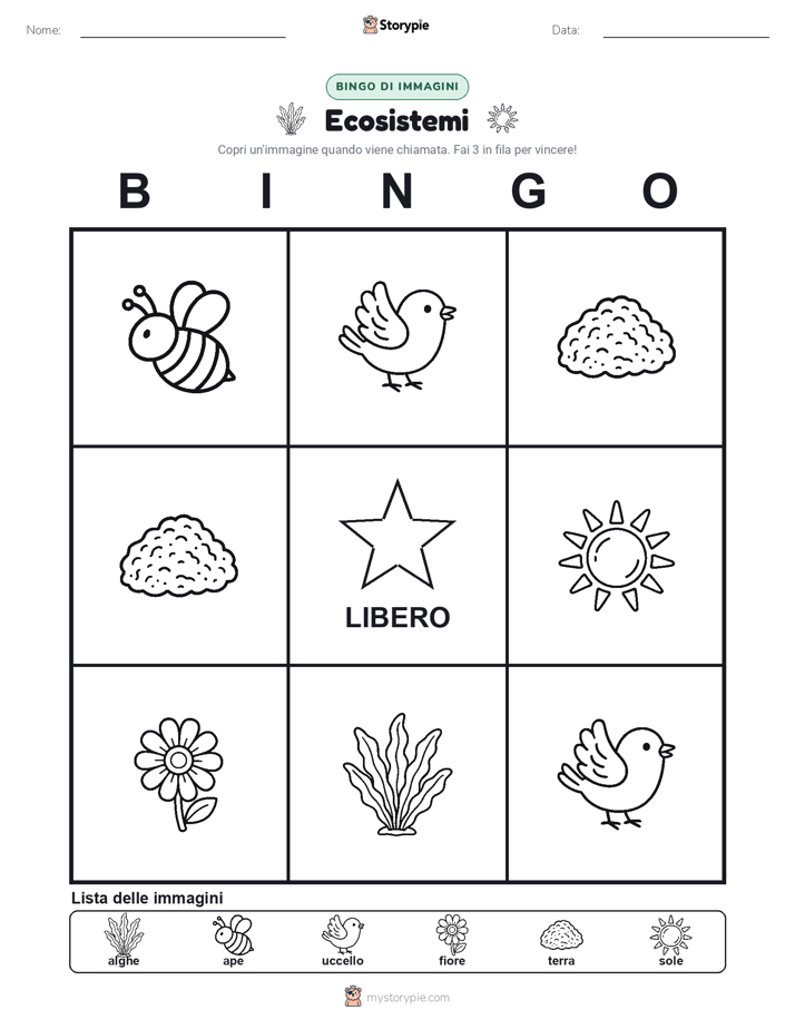 Bingo delle Immagini
