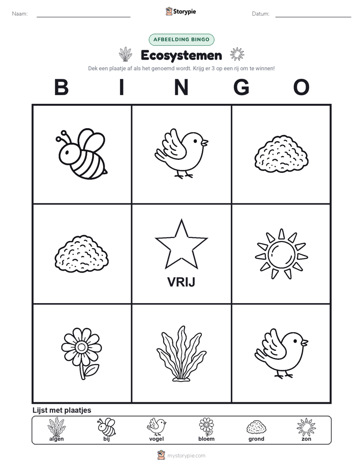 Afbeelding Bingo