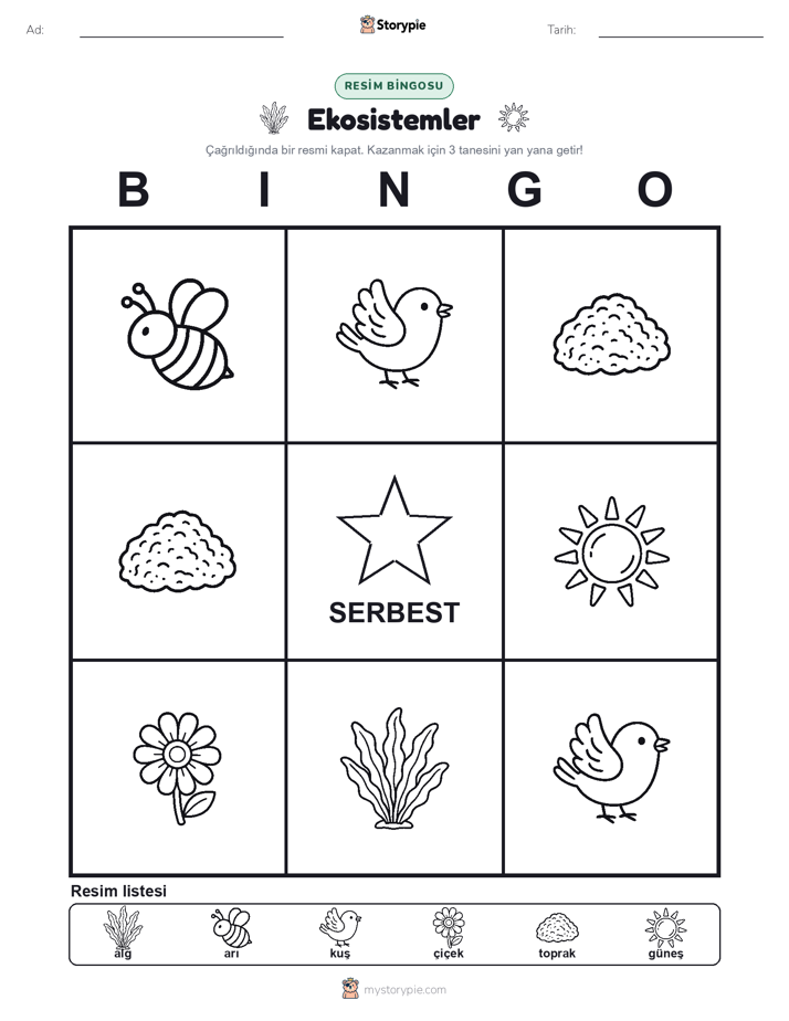Resim Bingo