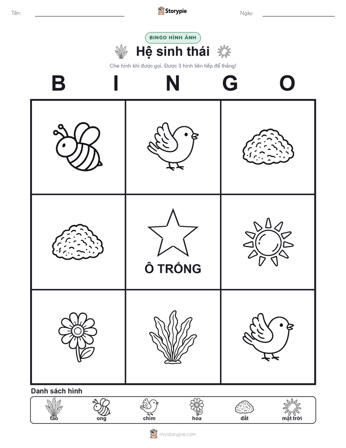 Bingo Hình Ảnh