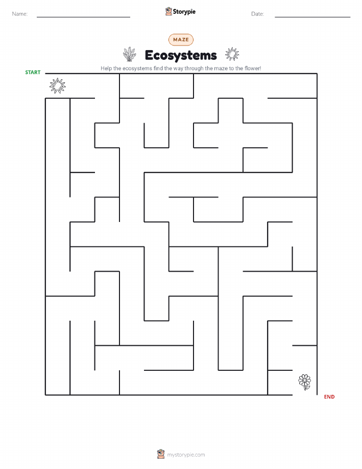 Maze